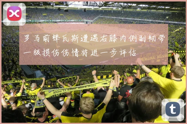 罗马前锋瓦斯遭遇右膝内侧副韧带一级损伤伤情将进一步评估