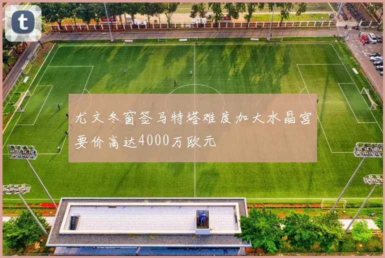 尤文冬窗签马特塔难度加大水晶宫要价高达4000万欧元